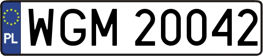 WGM20042