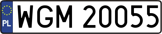 WGM20055
