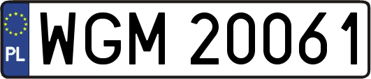 WGM20061