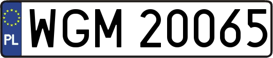 WGM20065
