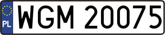WGM20075
