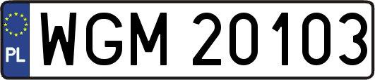 WGM20103