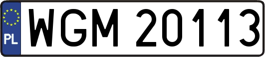 WGM20113