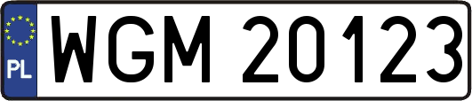WGM20123