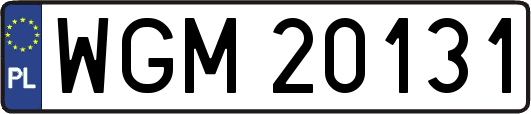 WGM20131