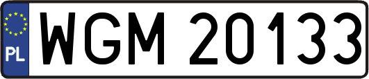WGM20133