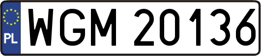 WGM20136