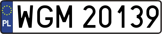 WGM20139