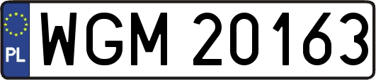 WGM20163