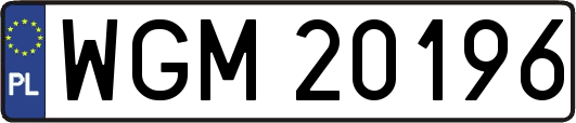 WGM20196