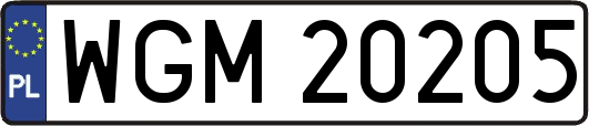 WGM20205