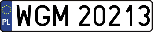 WGM20213