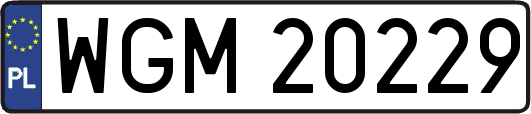 WGM20229