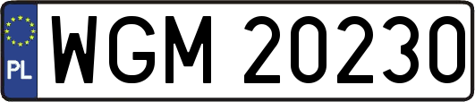 WGM20230