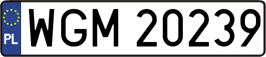 WGM20239