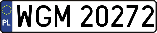 WGM20272