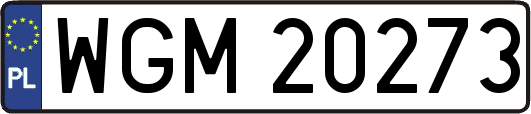 WGM20273