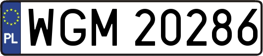 WGM20286