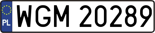 WGM20289