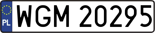 WGM20295