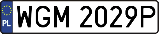 WGM2029P