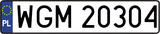 WGM20304