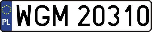 WGM20310