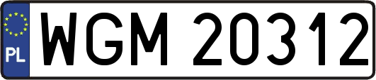 WGM20312
