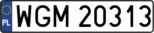 WGM20313