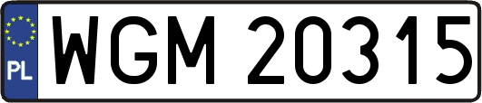 WGM20315