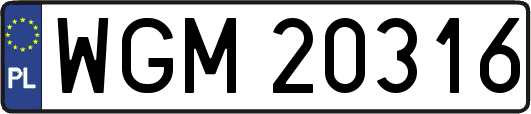 WGM20316