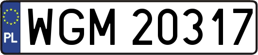 WGM20317