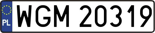 WGM20319