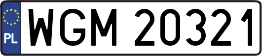 WGM20321