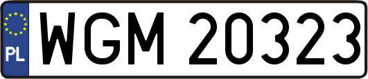 WGM20323