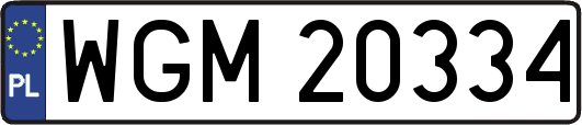 WGM20334