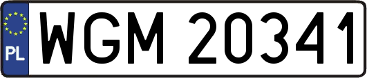 WGM20341