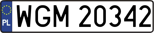 WGM20342