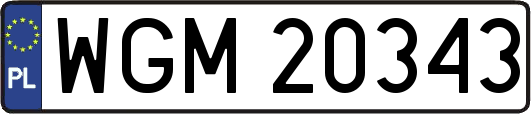 WGM20343