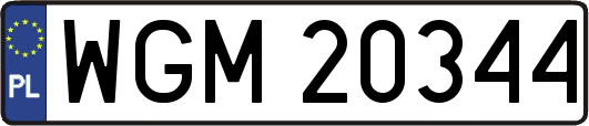 WGM20344