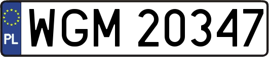 WGM20347