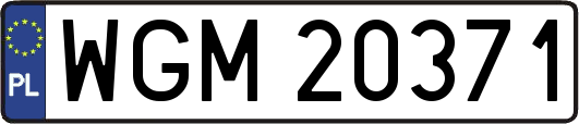 WGM20371