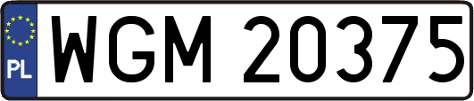 WGM20375