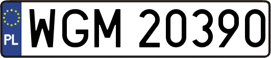 WGM20390