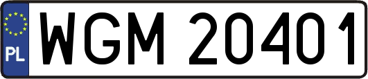 WGM20401