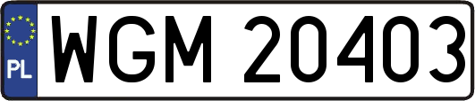 WGM20403