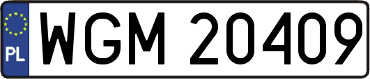 WGM20409
