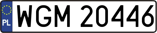 WGM20446
