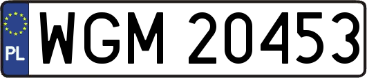 WGM20453