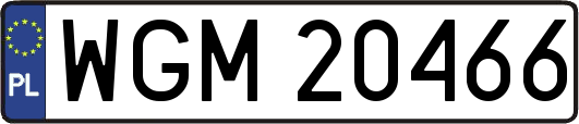 WGM20466